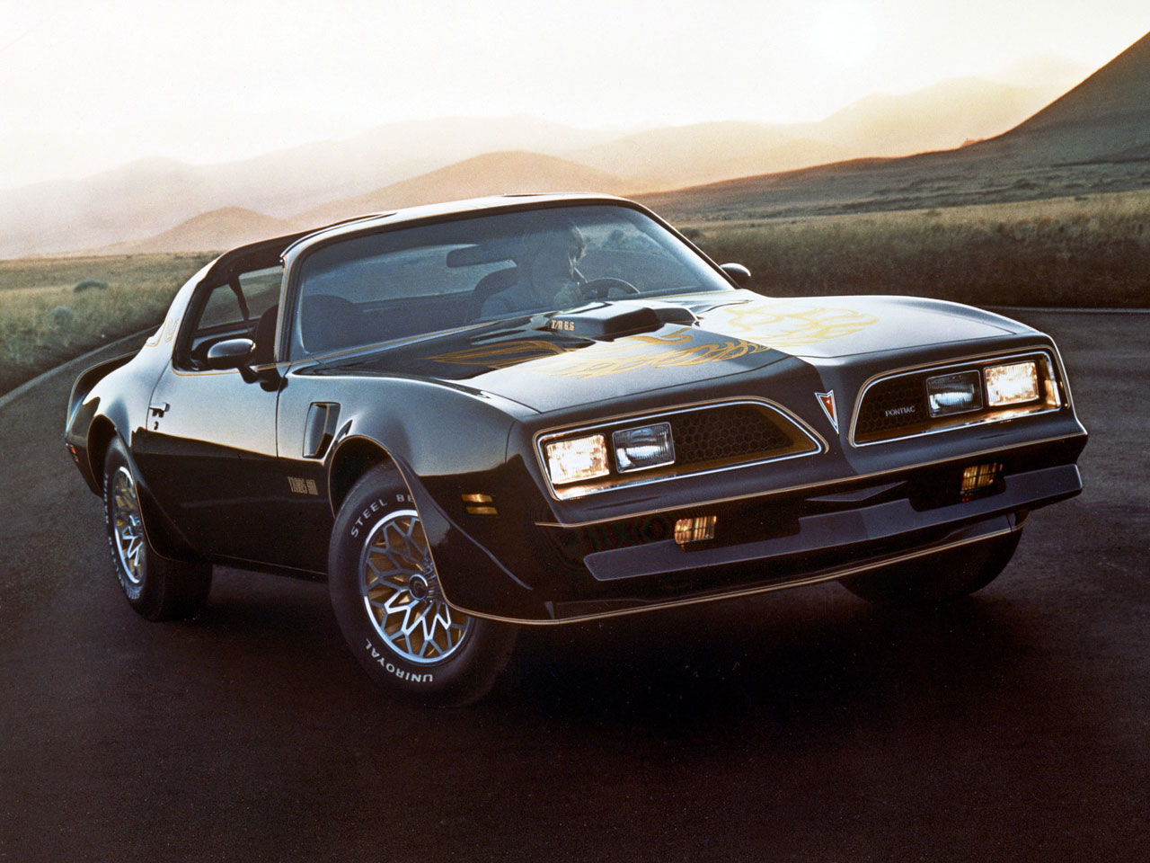 Pontiac Firebird Trans Am: 10 фото