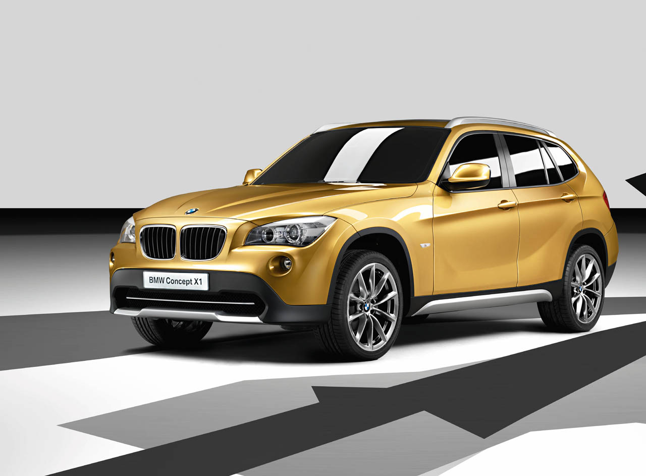 BMW X1: 4 фото