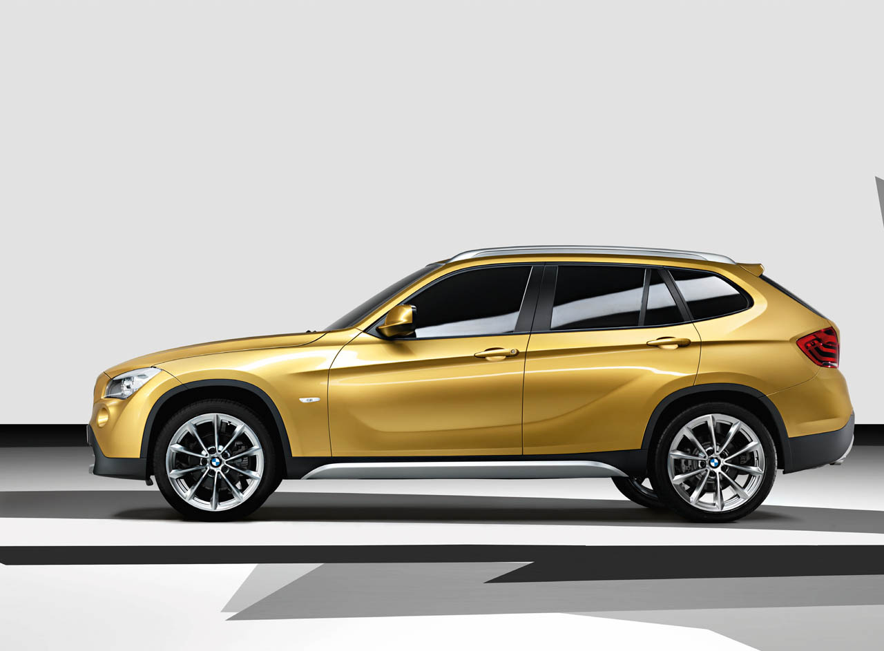 BMW X1: 9 фото